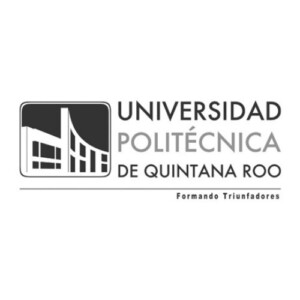 xr:d:DAFwVbNvIws:4,j:378707356099226254,t:23100421