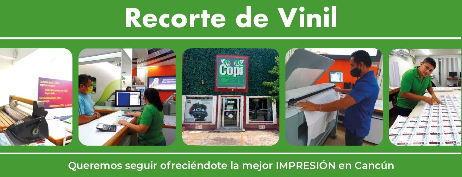 Recorte de Vinil (2)