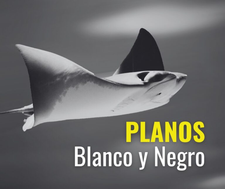 WhatsApp Image 2025-03-28 at 11.41.39